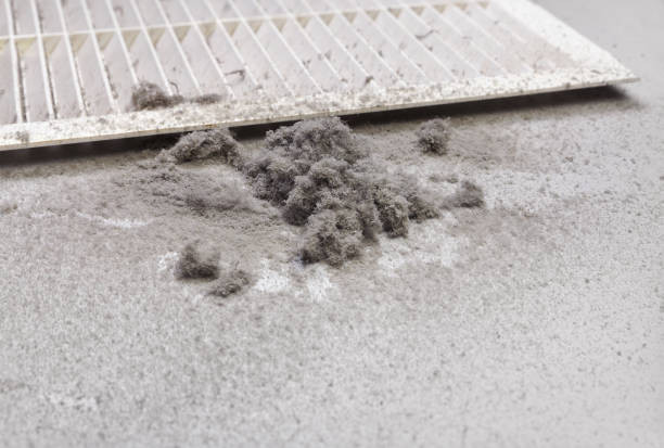 Best Duct Cleaning for Offices  in Pukalani, HI