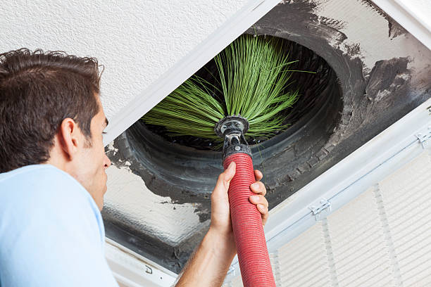 Best Duct Cleaning Specialists  in Pukalani, HI
